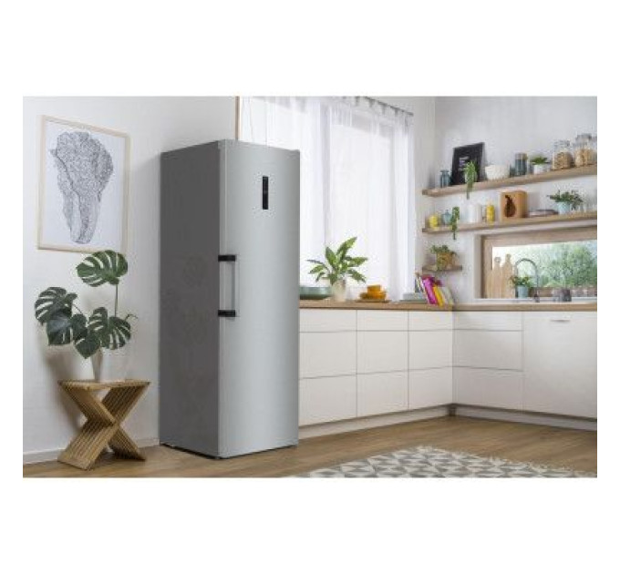 Gorenje Морозильна камера Gorenje FN619EAXL6