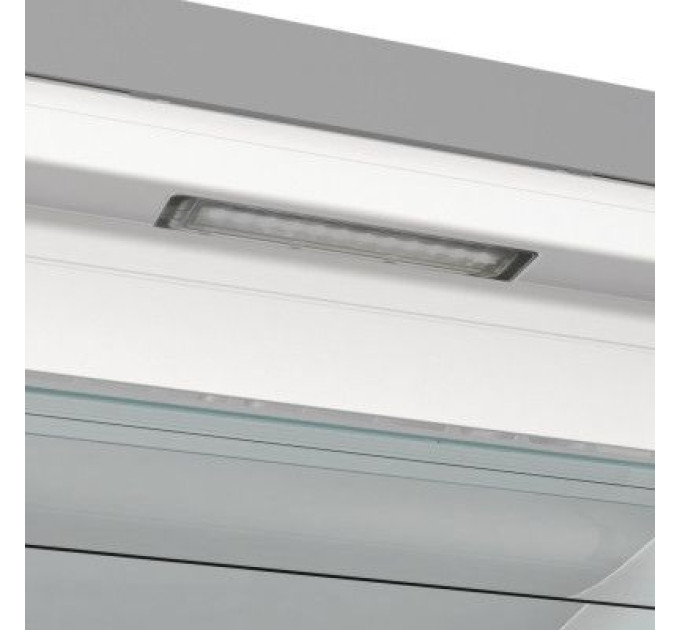 Gorenje Морозильна камера Gorenje FN619EAXL6