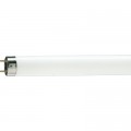 Philips Лампочка Philips TL-D G13 600mm 18W/54-765 1SL/25 (928047305451)