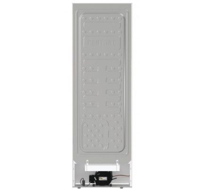 Gorenje Морозильна камера Gorenje FN619EEW5