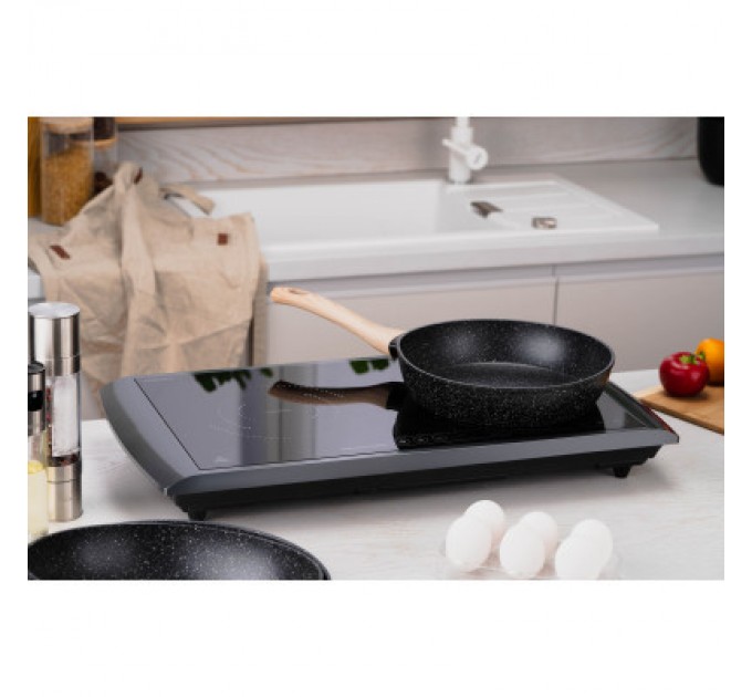 Ardesto Настільна плита Ardesto ICS-B217