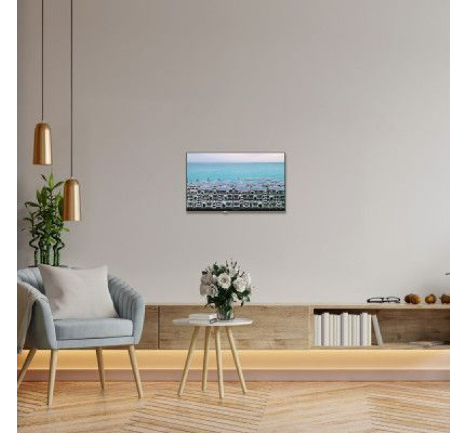 THOMSON Телевізор THOMSON 24HD2S13