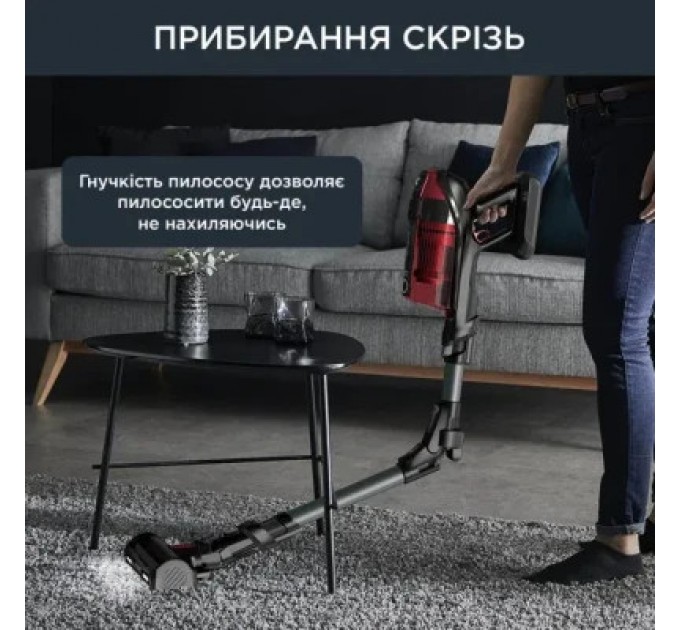 Rowenta Пилосос Rowenta RH98A9WO