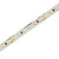 Eurolamp Світлодіодна стрічка Eurolamp LED/ROLL SMD5050 5 м