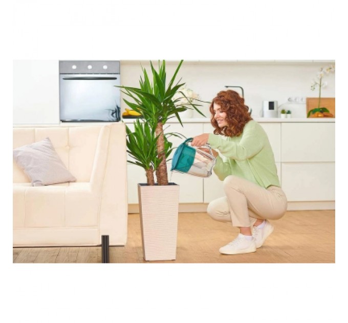 Ecosoft Фільтр-глечик Ecosoft Maxima 5л (3.5л очищеної води) з фільтр-картриджем, аква грін (FMVMAXIMADGECO)