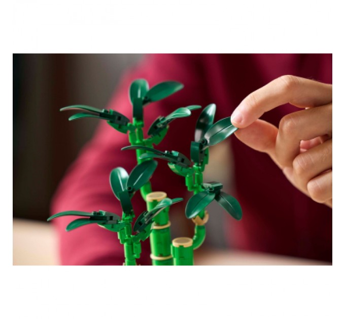 Конструктор LEGO Botanicals Бамбук щастя (10344)