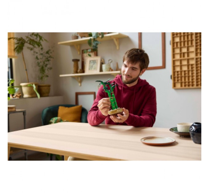 Конструктор LEGO Botanicals Бамбук щастя (10344)