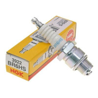Свічка запалювання NGK 3922 BR6HS