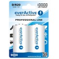 everActive Аккумулятор everActive D/HR20 10000mAh BL 2шт