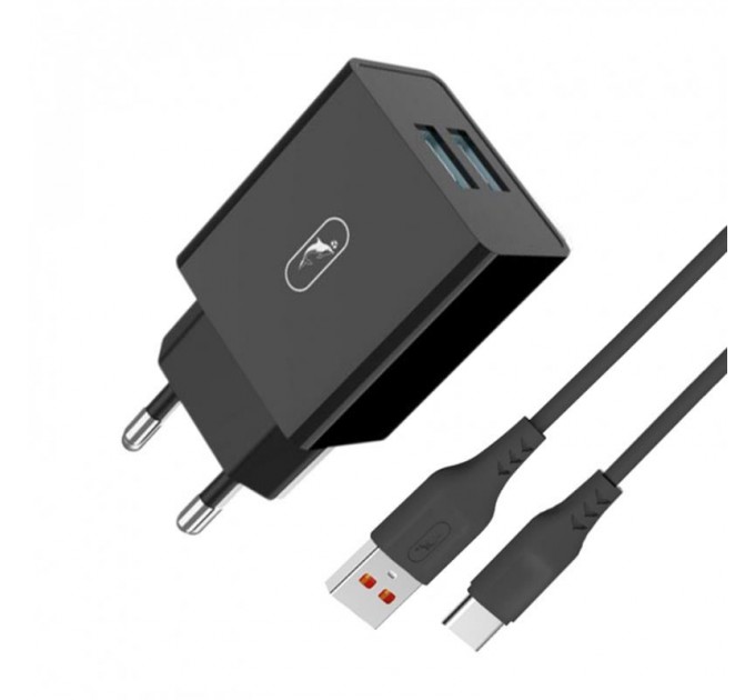 Зарядное устройство SkyDolphin SC30T (2USB, 2.1A) Black (SDMZP-000171) + кабель USB Type-C
