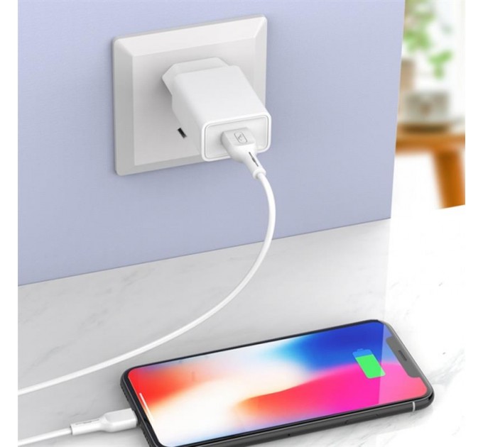 Зарядное устройство SkyDolphin SC36V (1USB, 2.4A) White (SDMZP-000118) + кабель microUSB