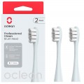 Oclean Насадка для зубної електрощітки Oclean P1C9 Brush Head Silver 2шт (6970810554038)