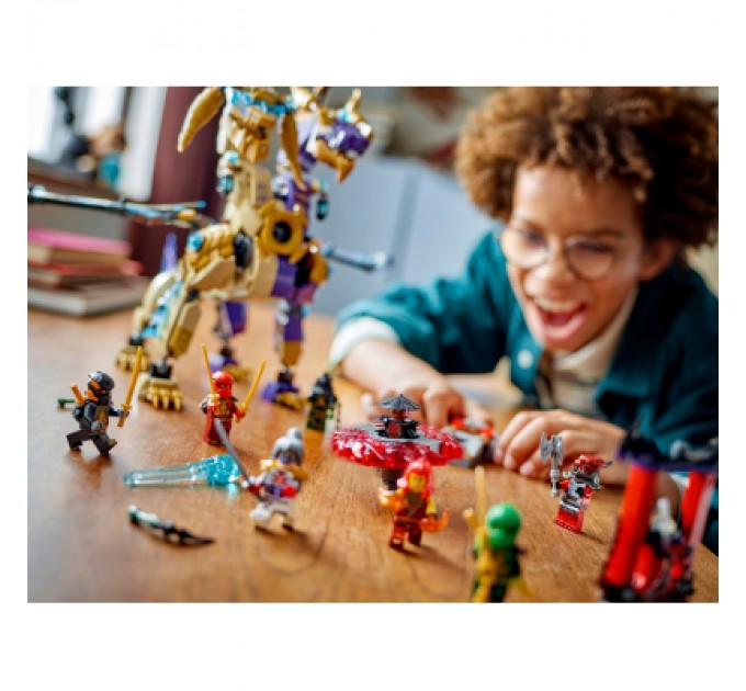 LEGO Конструктор LEGO Ninjago Arc Dragon of Focus (71836)