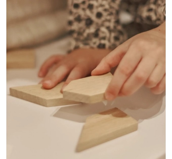 Ігротеко Розвиваюча іграшка Ігротеко Танграм 6 елементів (900569)