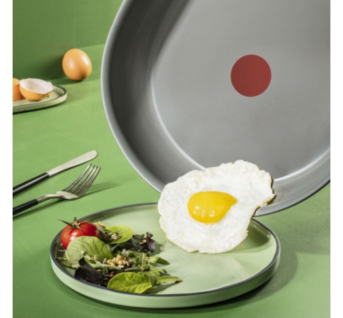 Tefal Сковорода Tefal Renewal 24 см (C4260443)