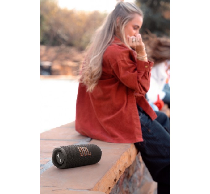 JBL Акустична система JBL Flip 7 Black (JBLFLIP7BLK)