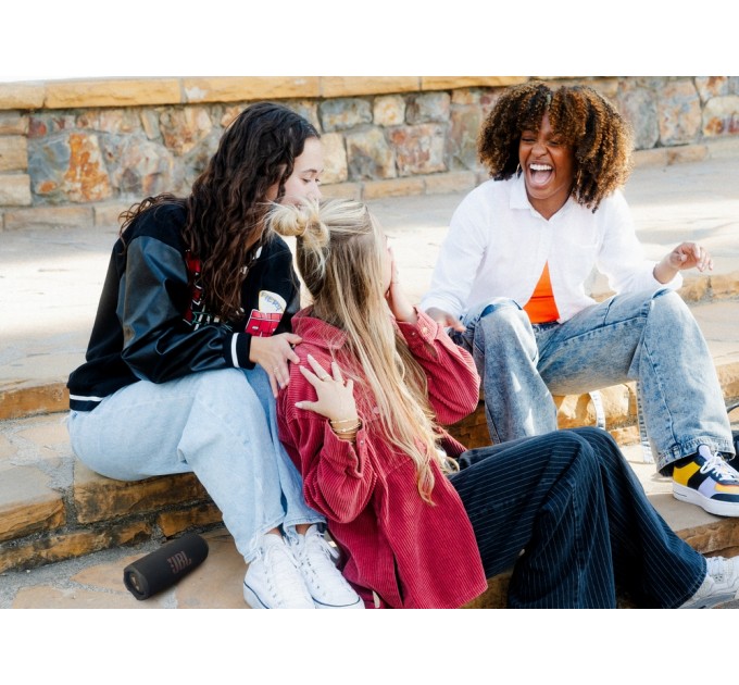 JBL Акустична система JBL Flip 7 Black (JBLFLIP7BLK)