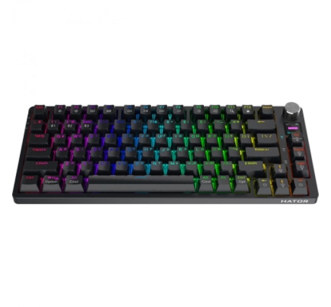Hator Клавіатура Hator Icefall Pro Wireless/Bluetooth/USB Black (HTK450UA)
