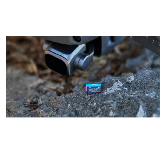 Kingston Карта пам'яті Kingston 64GB microSDXC сlass 10 UHS-I U3 V30 A2 Canvas Go Plus G4 (SDCG4/64GB)