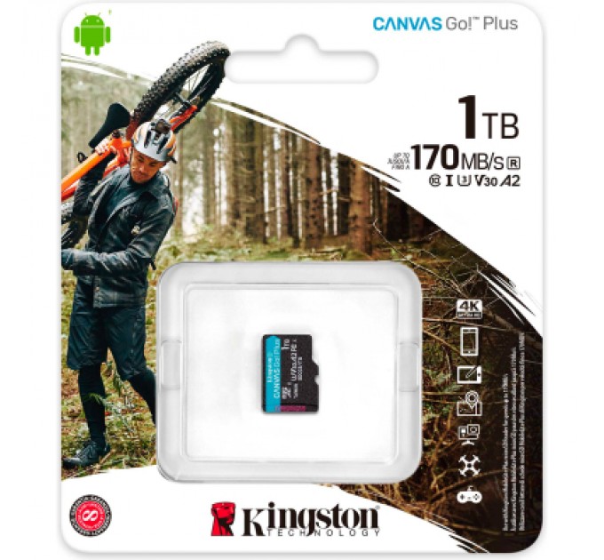 Kingston Карта пам'яті Kingston 1TB microSDXC сlass 10 UHS-I U3 V30 A2 Canvas Go Plus G4 (SDCG4/1TBSP)