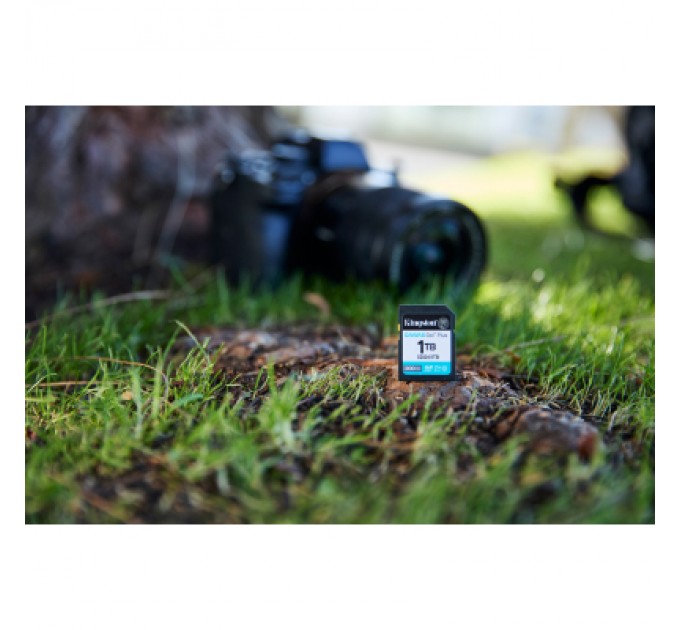 Kingston Карта пам'яті Kingston 1TB SDXC сlass 10 UHS-I U3 V30 Canvas Go Plus G4 (SDG4/1TB)