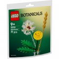 LEGO Конструктор LEGO Botanicals Польові квіти (30701)