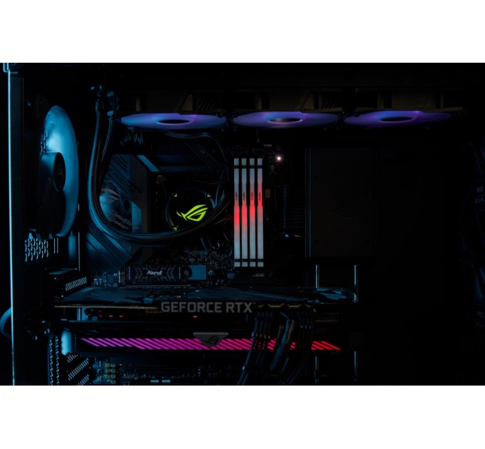 Модуль пам`яті DDR5 32GB/5600 Kingston Fury Beast RGB Black (KF556C36BBE2A-32)