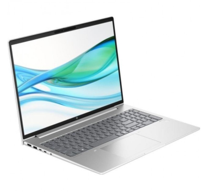 HP Ноутбук HP ProBook 465 G11 (AD1W9ET)