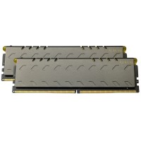 Модуль пам'яті для комп'ютера DDR4 64GB (2x32GB) 3200 MHz Aurum eXceleram (EG40322222D-64)