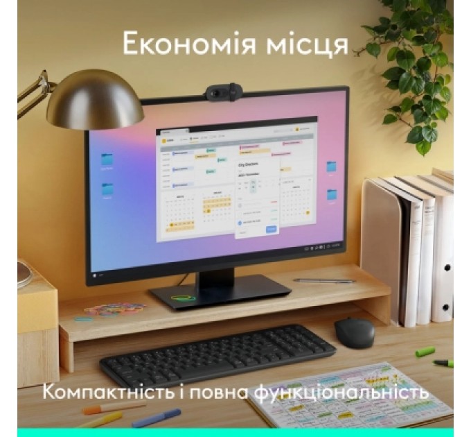 Logitech Комплект Logitech MK250 Bluetooth/Wireles UA Graphite (920-013823)