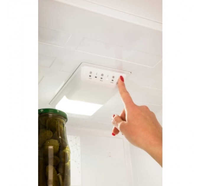 Холодильник Vestfrost CNF 289 WBL