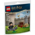 LEGO Конструктор LEGO Harry Potter Урок з Квідичу (30706)