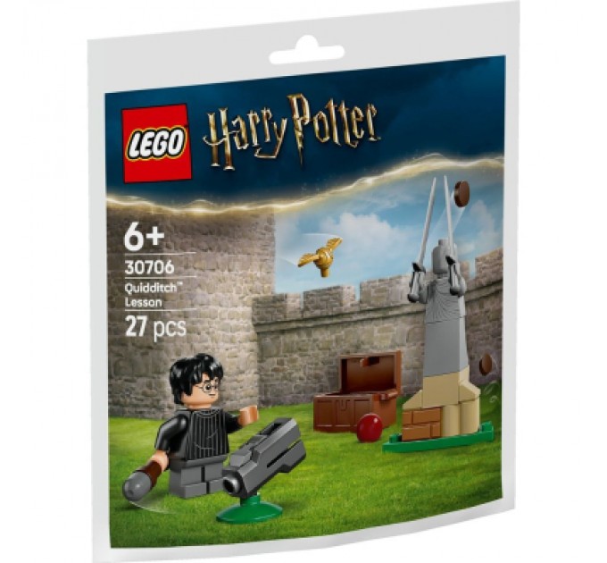 LEGO Конструктор LEGO Harry Potter Урок з Квідичу (30706)