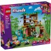 Конструктор LEGO Friends Догляд за тваринами в заповіднику панд (42648)