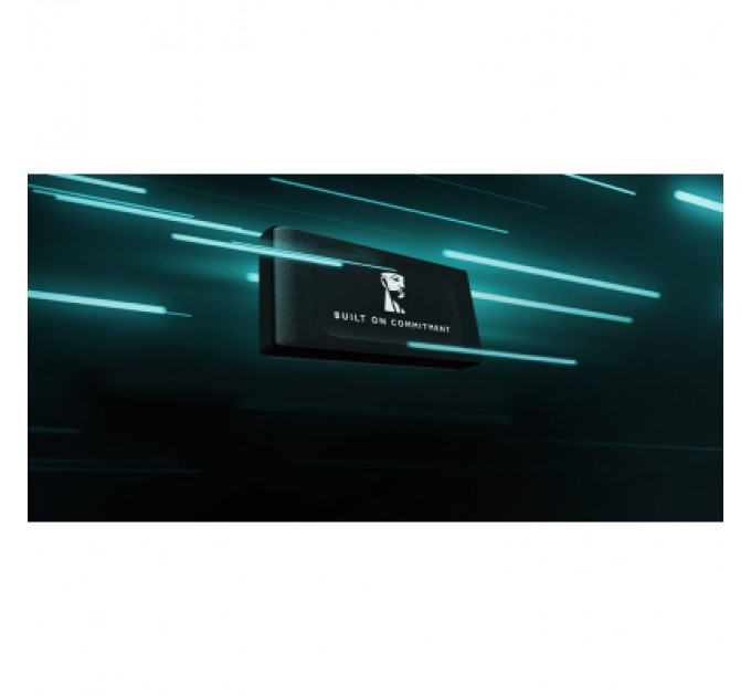 Накопичувач SSD USB Type-C 1TB XS1000 Kingston (SXS1000/1000GA)