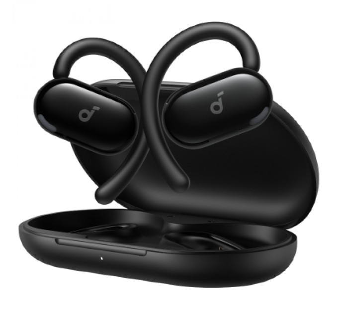 Anker Навушники Anker SoundСore V20i Black (A3876G11)