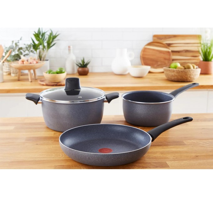 Tefal Сковорода Tefal Hard Stone 20 см (D4560253)