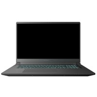 Ноутбук Thunderobot 911 X17 (911X17-i7136H56C1Q165MBD)