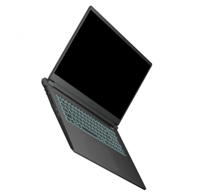 Thunderobot Ноутбук Thunderobot 911 X17 (911X17-i7136H56C1Q165MBD)