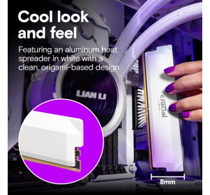 Micron Модуль пам'яті для комп'ютера DDR5 32GB (2x16GB) 6400 MHz Pro Overclocking White Micron (CP2K16G64C38U5W)