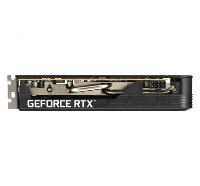 ASUS Відеокарта ASUS GeForce RTX5050 8Gb DUAL OC (DUAL-RTX5050-O8G)