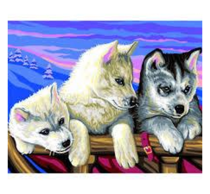 Sequin Art Набір для творчості Sequin Art PAINTING BY NUMBERS SENIOR Huskies (SA1036)