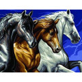 Sequin Art Набір для творчості Sequin Art PAINTING BY NUMBERS SENIOR Wild Horses (SA1040)