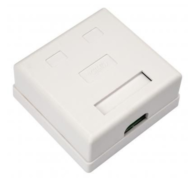 Vinga Комп'ютерна розетка RJ45x2 UTP cat.5e 8P8C Vinga (VCPRJ45O2)