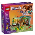 Конструктор LEGO Friends Кімната Отом (42646)