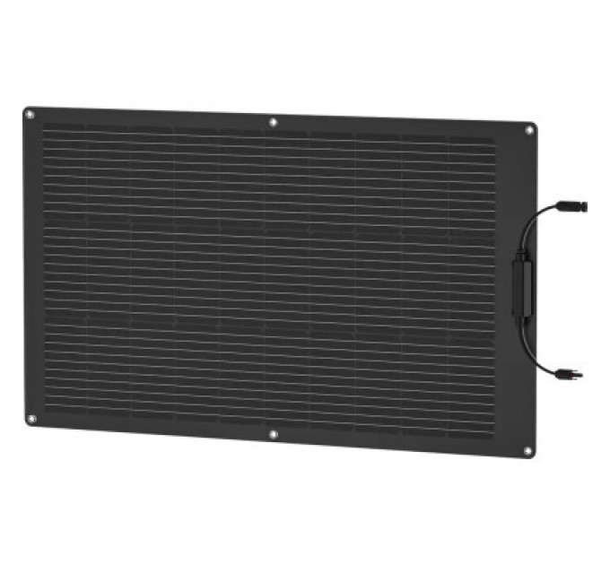 EcoFlow Портативна сонячна панель EcoFlow 100W (ZMS330)