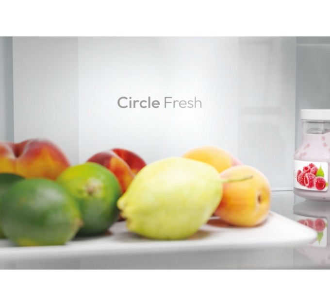 Candy Холодильник Candy ECN2CQTEB186