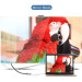 Ugreen Перехідник USB2.0 Type-C to HDMI V1.4b 40273 white Ugreen (40273)