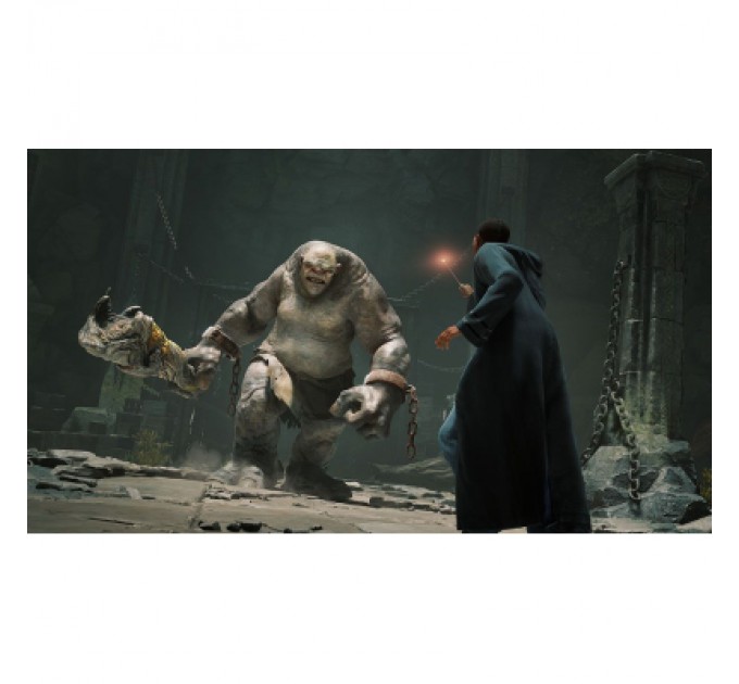 Nintendo Гра Nintendo Hogwarts Legacy Deluxe Edition, картридж (5051895415597)