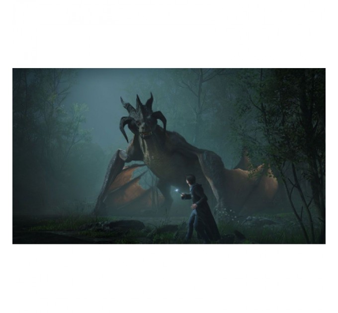 Nintendo Гра Nintendo Hogwarts Legacy Deluxe Edition, картридж (5051895415597)